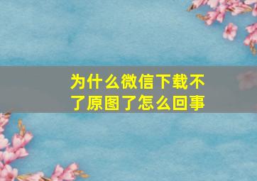 为什么微信下载不了原图了怎么回事