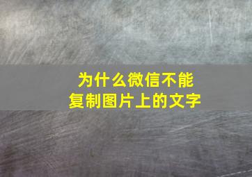 为什么微信不能复制图片上的文字