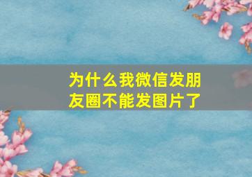 为什么我微信发朋友圈不能发图片了