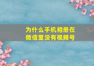 为什么手机相册在微信里没有视频号