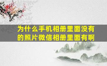 为什么手机相册里面没有的照片微信相册里面有啊