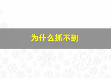 为什么抓不到