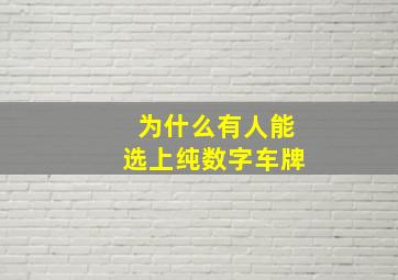 为什么有人能选上纯数字车牌