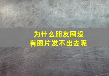 为什么朋友圈没有图片发不出去呢