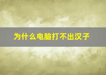 为什么电脑打不出汉子