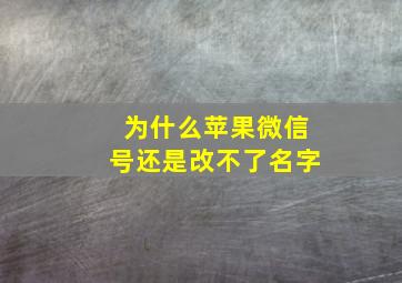 为什么苹果微信号还是改不了名字