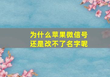 为什么苹果微信号还是改不了名字呢