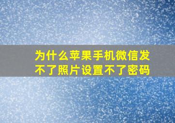 为什么苹果手机微信发不了照片设置不了密码