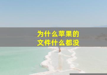 为什么苹果的文件什么都没