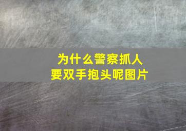 为什么警察抓人要双手抱头呢图片