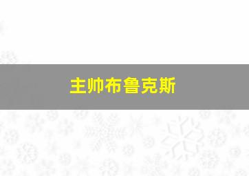 主帅布鲁克斯