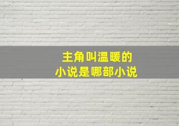 主角叫温暖的小说是哪部小说