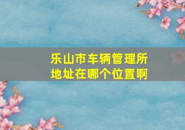 乐山市车辆管理所地址在哪个位置啊