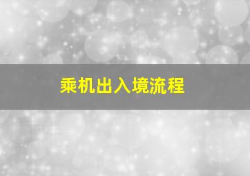 乘机出入境流程