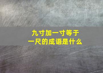 九寸加一寸等于一尺的成语是什么