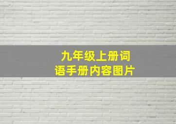 九年级上册词语手册内容图片