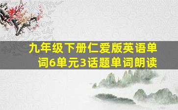 九年级下册仁爱版英语单词6单元3话题单词朗读