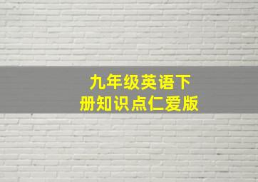 九年级英语下册知识点仁爱版