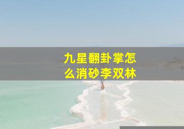 九星翻卦掌怎么消砂李双林