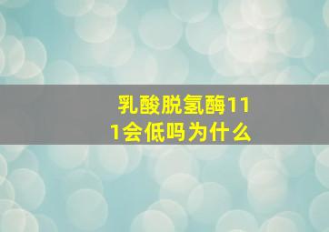 乳酸脱氢酶111会低吗为什么