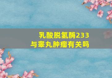 乳酸脱氢酶233与睾丸肿瘤有关吗