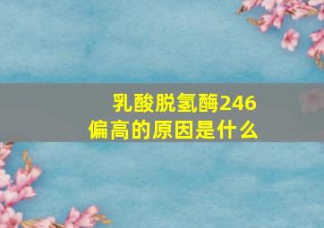 乳酸脱氢酶246偏高的原因是什么