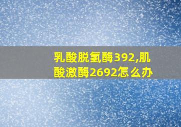 乳酸脱氢酶392,肌酸激酶2692怎么办