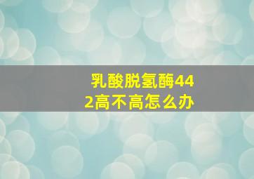 乳酸脱氢酶442高不高怎么办