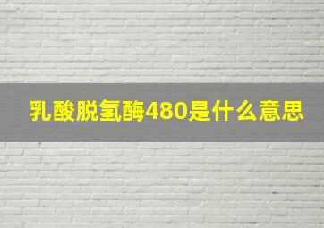 乳酸脱氢酶480是什么意思