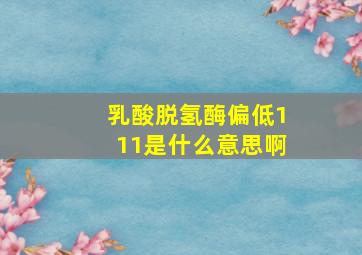 乳酸脱氢酶偏低111是什么意思啊