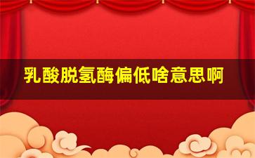 乳酸脱氢酶偏低啥意思啊