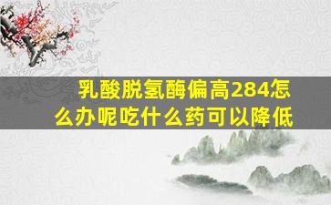 乳酸脱氢酶偏高284怎么办呢吃什么药可以降低