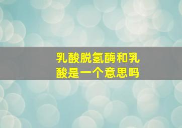 乳酸脱氢酶和乳酸是一个意思吗