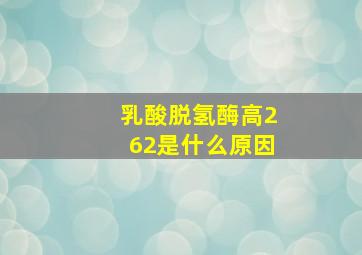 乳酸脱氢酶高262是什么原因