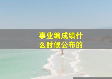 事业编成绩什么时候公布的