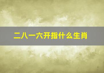 二八一六开指什么生肖