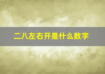 二八左右开是什么数字