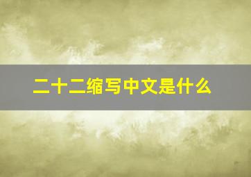 二十二缩写中文是什么