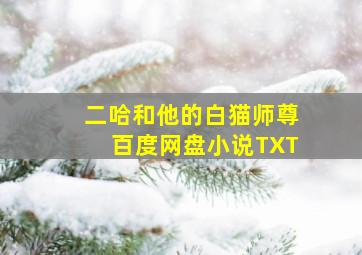 二哈和他的白猫师尊百度网盘小说TXT