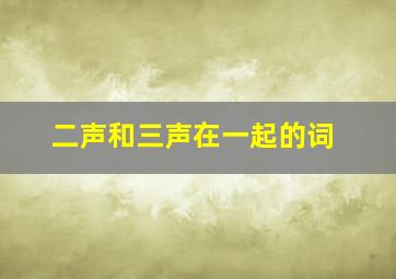 二声和三声在一起的词