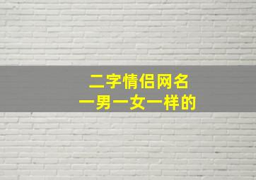 二字情侣网名一男一女一样的