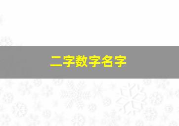 二字数字名字