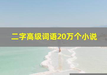 二字高级词语20万个小说