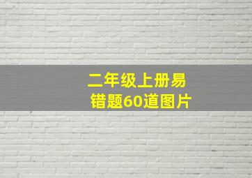 二年级上册易错题60道图片