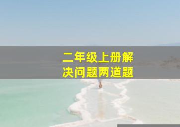 二年级上册解决问题两道题