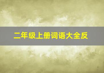 二年级上册词语大全反