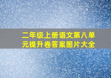 二年级上册语文第八单元提升卷答案图片大全