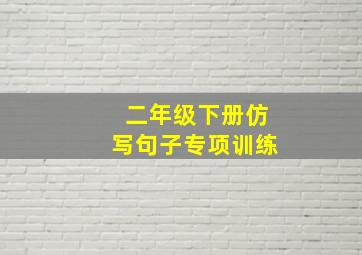 二年级下册仿写句子专项训练