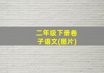 二年级下册卷子语文(图片)