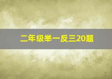 二年级举一反三20题